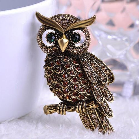 Gorgeous owl brooch